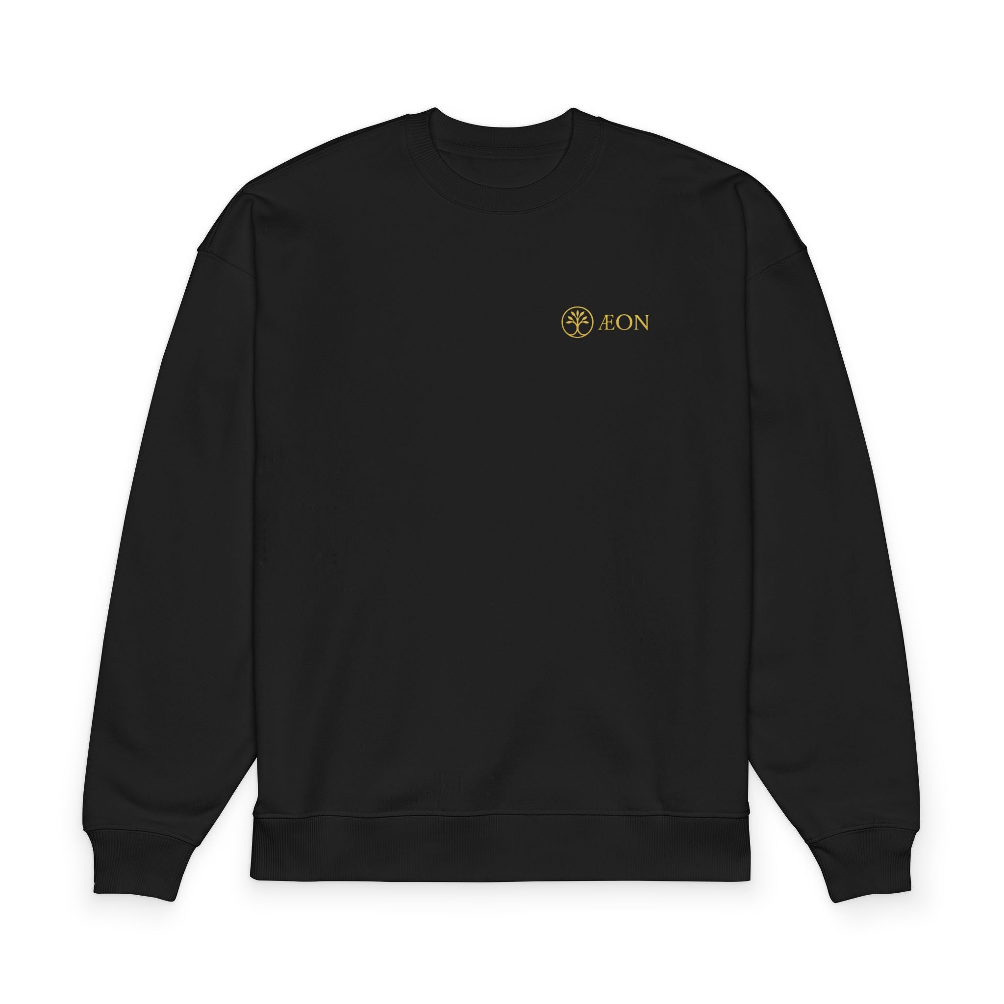 Raddler 2.0 Sweatshirt — Minimal Gold Compass Crewneck